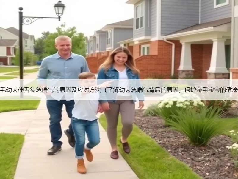 金毛幼犬伸舌头急喘气的原因及应对方法（了解幼犬急喘气背后的原因，保护金毛宝宝的健康）