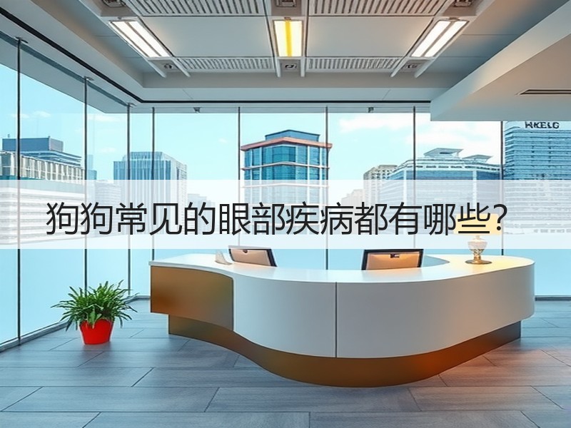 狗狗常见的眼部疾病都有哪些？