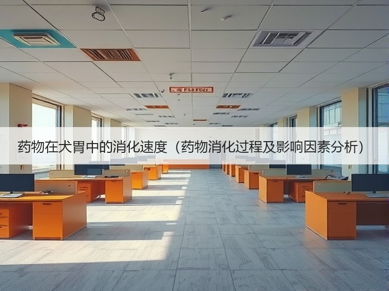 药物在犬胃中的消化速度（药物消化过程及影响因素分析）