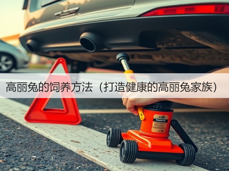 高丽兔的饲养方法（打造健康的高丽兔家族）