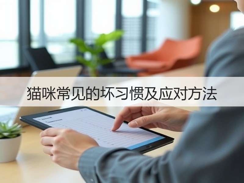 猫咪常见的坏习惯及应对方法