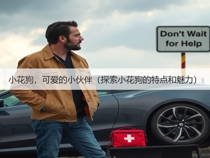 小花狗，可爱的小伙伴（探索小花狗的特点和魅力）