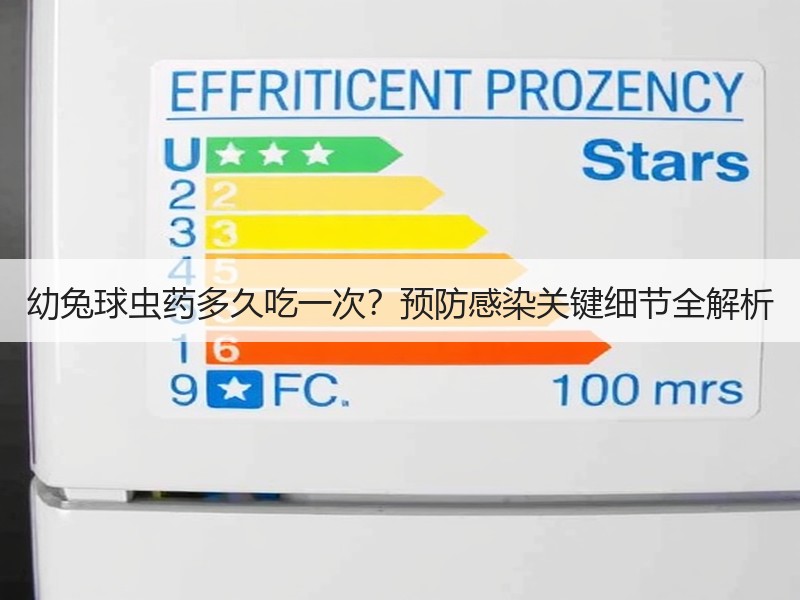 幼兔球虫药多久吃一次？预防感染关键细节全解析