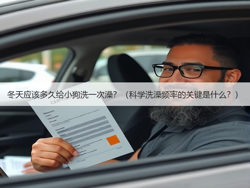冬天应该多久给小狗洗一次澡？（科学洗澡频率的关键是什么？）
