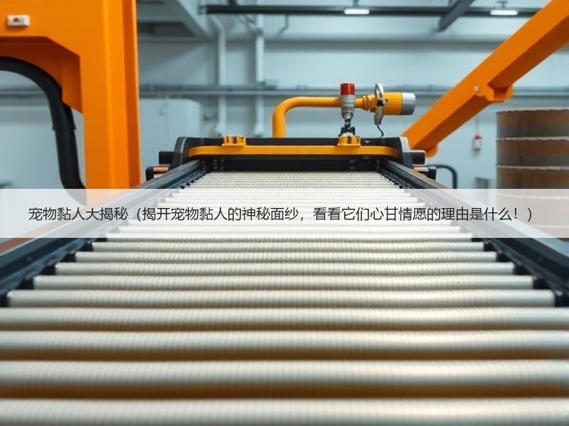 宠物黏人大揭秘（揭开宠物黏人的神秘面纱，看看它们心甘情愿的理由是什么！）