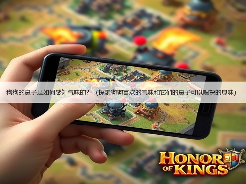 狗狗的鼻子是如何感知气味的？（探索狗狗喜欢的气味和它们的鼻子可以嗅探的臭味）