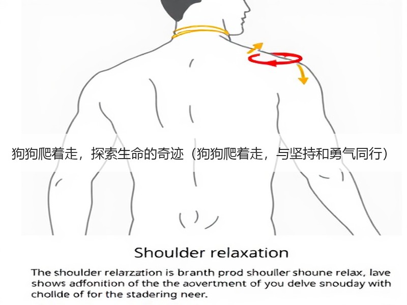 狗狗爬着走，探索生命的奇迹（狗狗爬着走，与坚持和勇气同行）