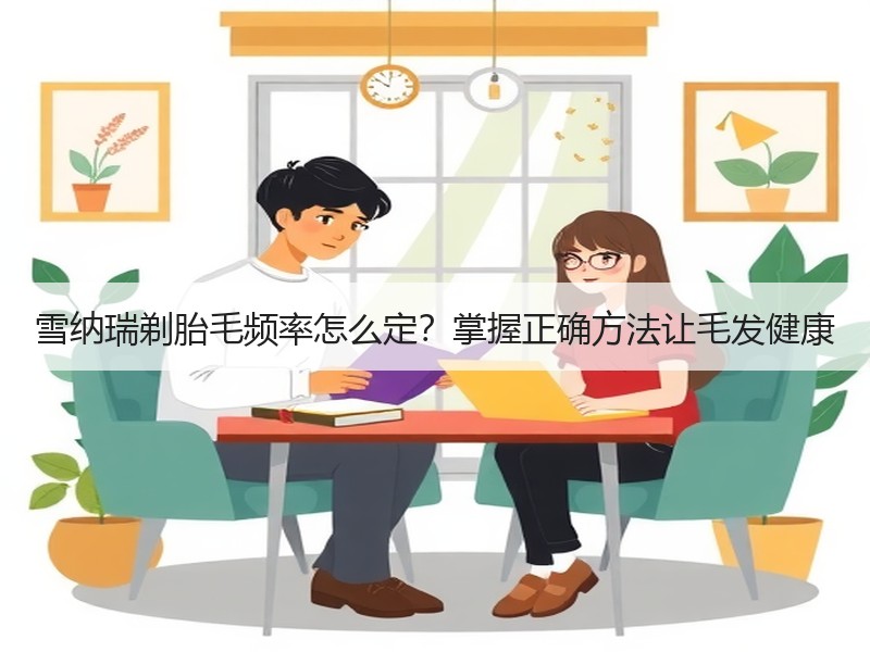 雪纳瑞剃胎毛频率怎么定？掌握正确方法让毛发健康