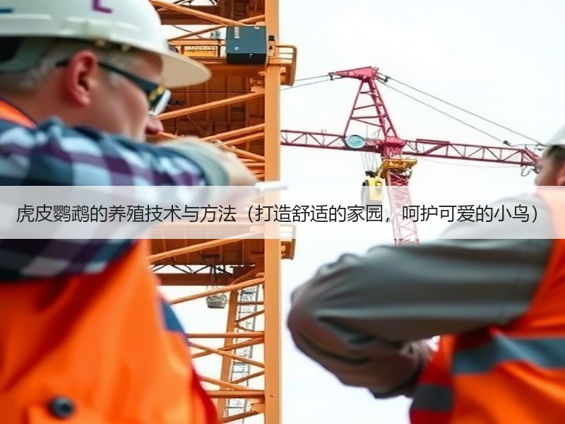 虎皮鹦鹉的养殖技术与方法（打造舒适的家园，呵护可爱的小鸟）