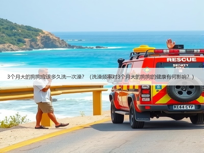 3个月大的狗狗应该多久洗一次澡？（洗澡频率对3个月大的狗狗的健康有何影响？）