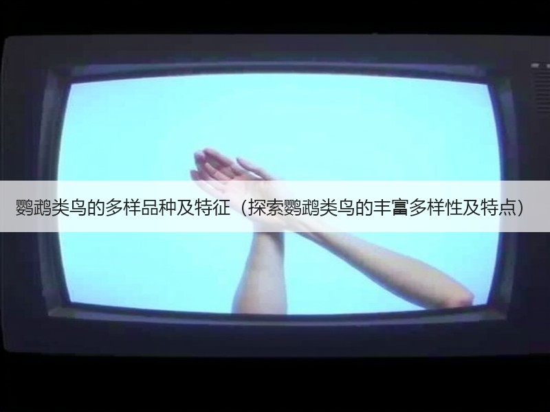 鹦鹉类鸟的多样品种及特征（探索鹦鹉类鸟的丰富多样性及特点）