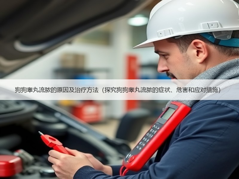 狗狗睾丸流脓的原因及治疗方法（探究狗狗睾丸流脓的症状、危害和应对措施）