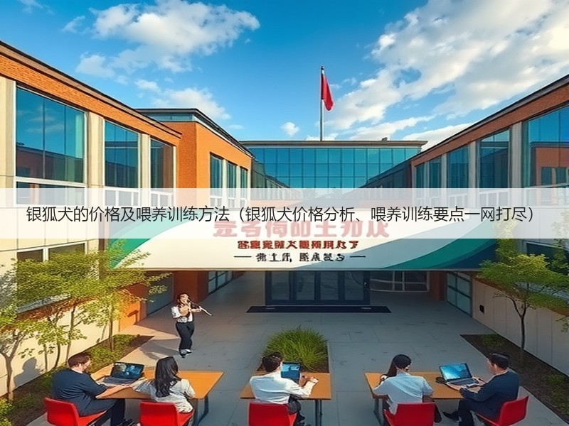 银狐犬的价格及喂养训练方法（银狐犬价格分析、喂养训练要点一网打尽）