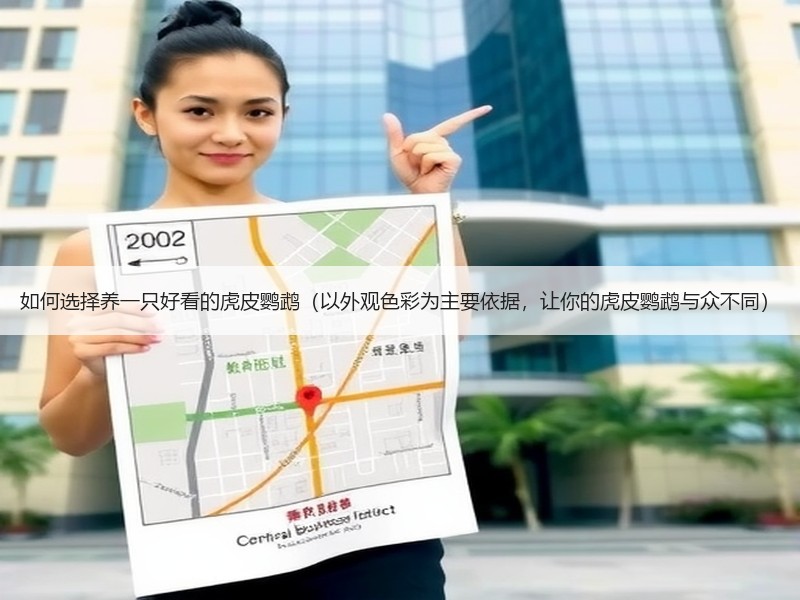 如何选择养一只好看的虎皮鹦鹉（以外观色彩为主要依据，让你的虎皮鹦鹉与众不同）