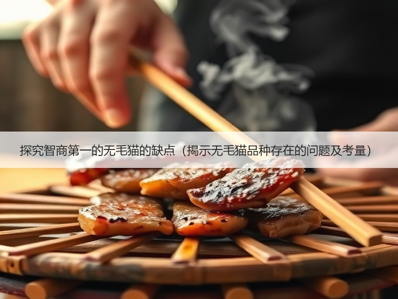探究智商第一的无毛猫的缺点（揭示无毛猫品种存在的问题及考量）