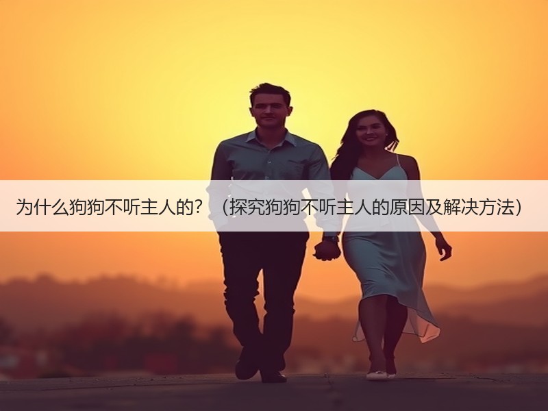 为什么狗狗不听主人的？（探究狗狗不听主人的原因及解决方法）