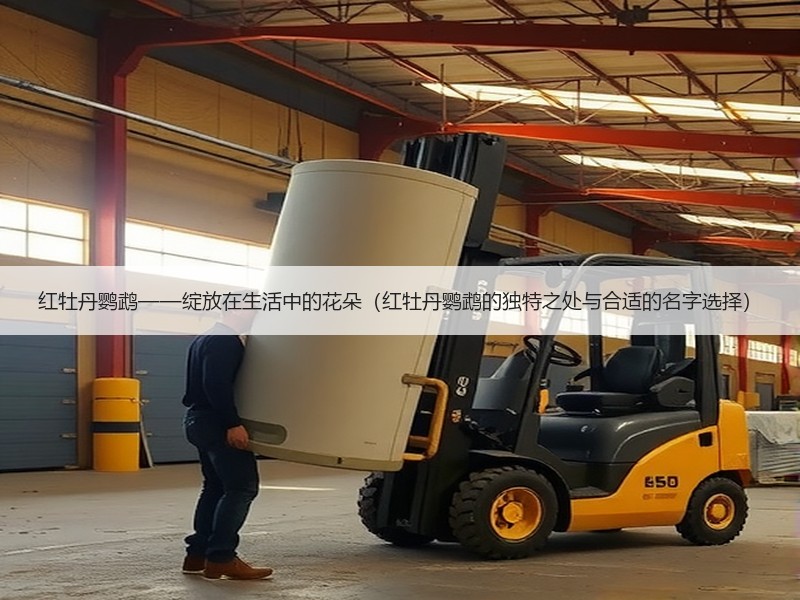 红牡丹鹦鹉——绽放在生活中的花朵（红牡丹鹦鹉的独特之处与合适的名字选择）