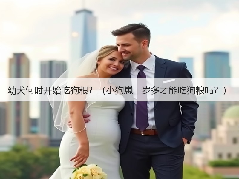 幼犬何时开始吃狗粮？（小狗崽一岁多才能吃狗粮吗？）