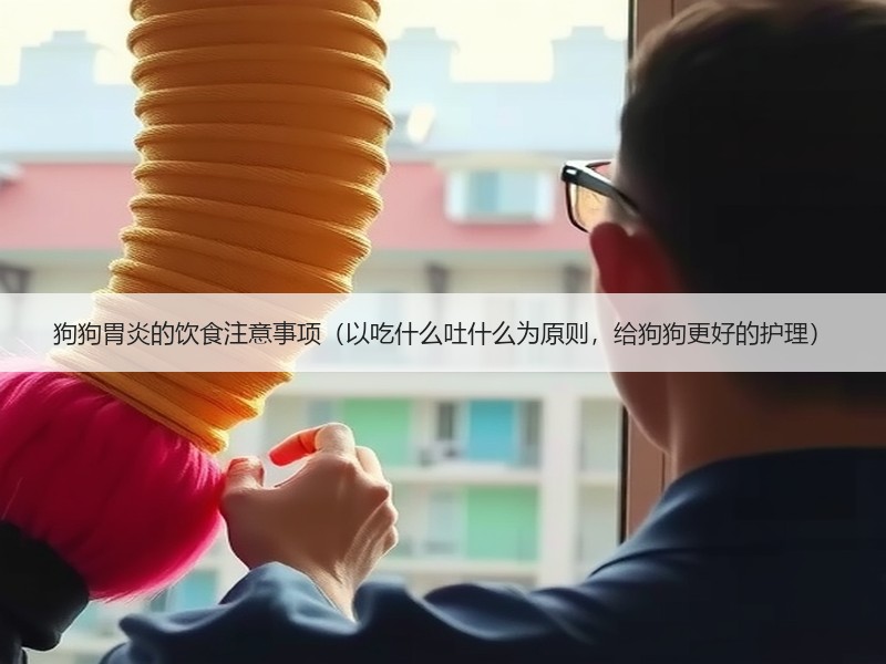 狗狗胃炎的饮食注意事项（以吃什么吐什么为原则，给狗狗更好的护理）