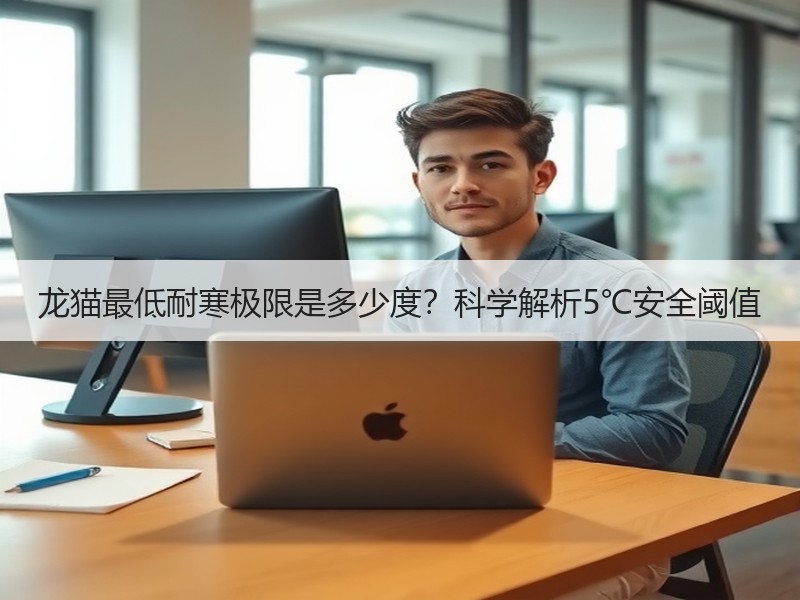 龙猫最低耐寒极限是多少度？科学解析5℃安全阈值