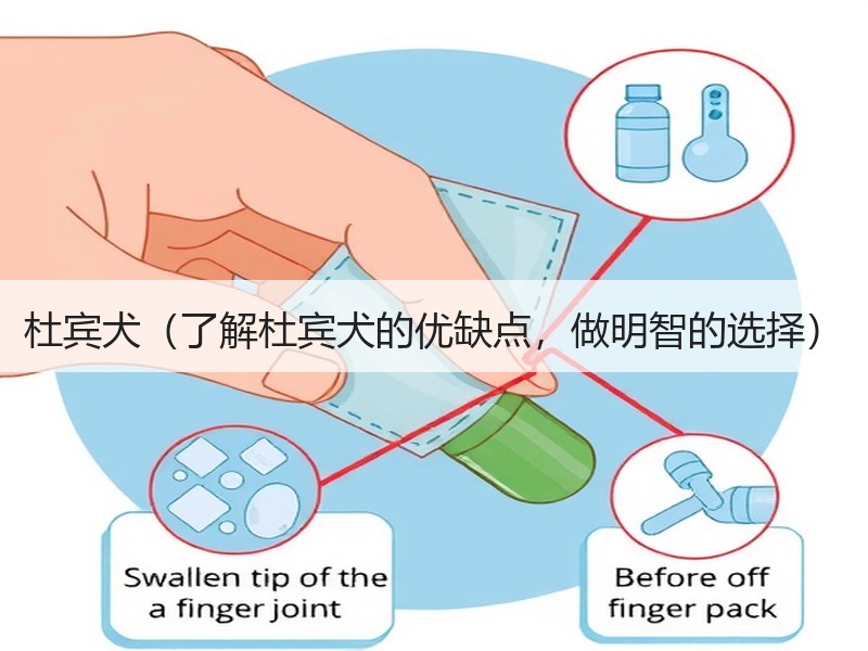 杜宾犬（了解杜宾犬的优缺点，做明智的选择）