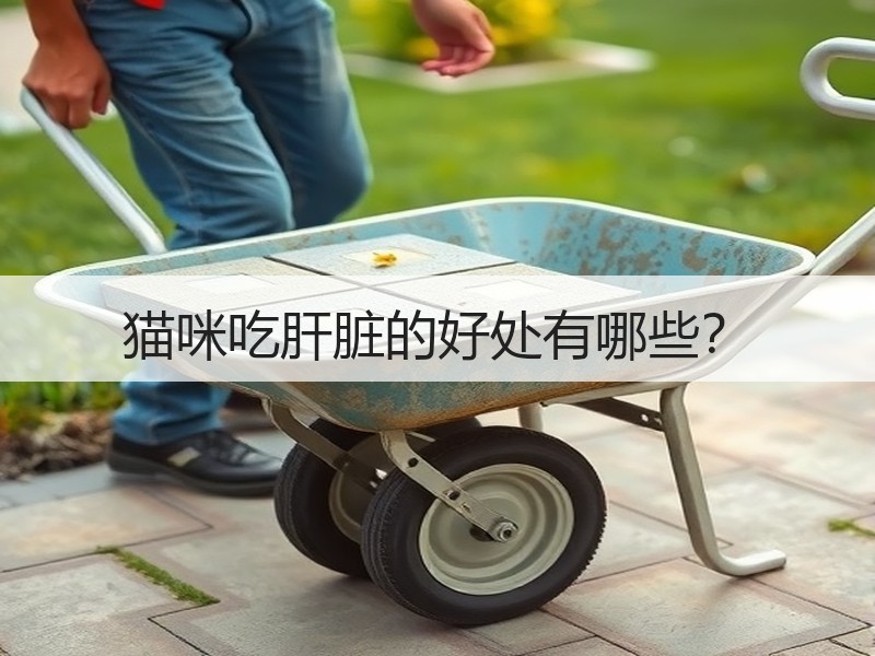 猫咪吃肝脏的好处有哪些？
