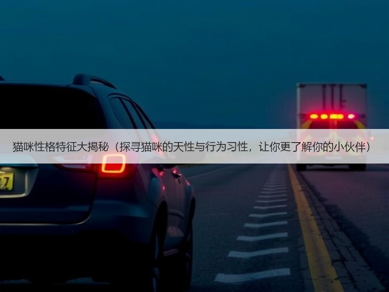 猫咪性格特征大揭秘（探寻猫咪的天性与行为习性，让你更了解你的小伙伴）