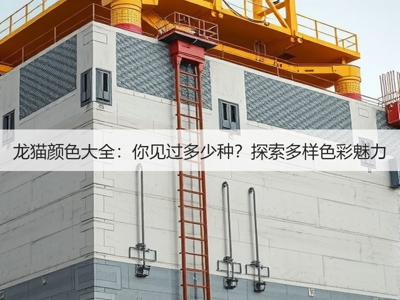 龙猫颜色大全：你见过多少种？探索多样色彩魅力