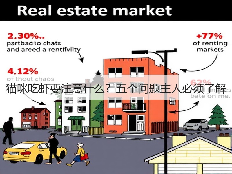 猫咪吃虾要注意什么？五个问题主人必须了解