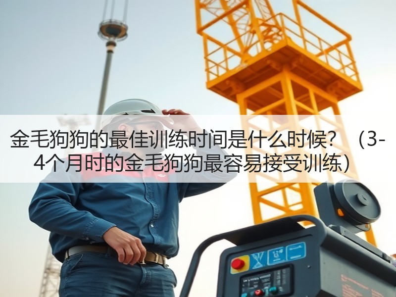 金毛狗狗的最佳训练时间是什么时候？（3-4个月时的金毛狗狗最容易接受训练）