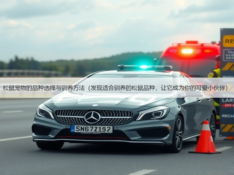 松鼠宠物的品种选择与驯养方法（发现适合驯养的松鼠品种，让它成为你的可爱小伙伴）