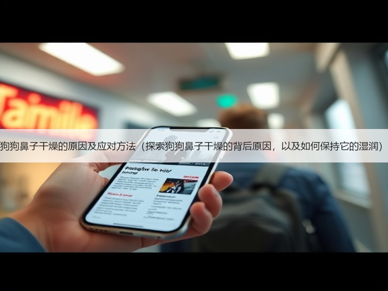 狗狗鼻子干燥的原因及应对方法（探索狗狗鼻子干燥的背后原因，以及如何保持它的湿润）