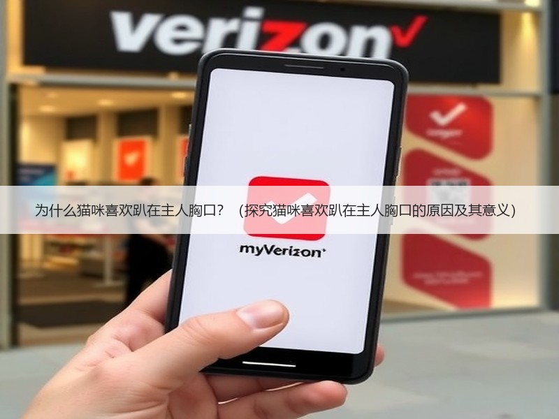 为什么猫咪喜欢趴在主人胸口？（探究猫咪喜欢趴在主人胸口的原因及其意义）