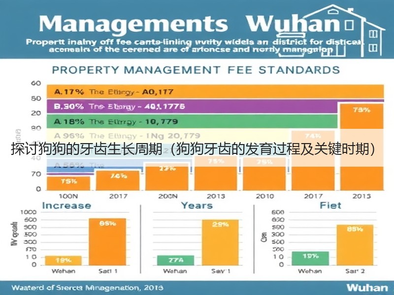 探讨狗狗的牙齿生长周期（狗狗牙齿的发育过程及关键时期）