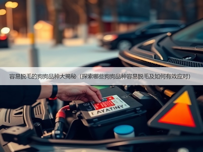 容易脱毛的狗狗品种大揭秘（探索哪些狗狗品种容易脱毛及如何有效应对）