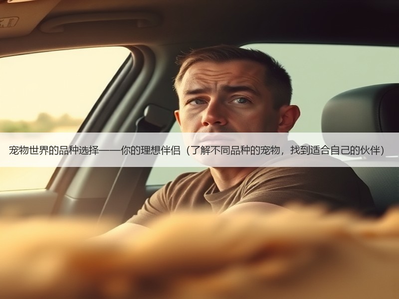宠物世界的品种选择——你的理想伴侣（了解不同品种的宠物，找到适合自己的伙伴）