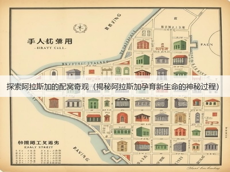 探索阿拉斯加的配窝奇观（揭秘阿拉斯加孕育新生命的神秘过程）