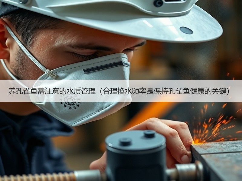 养孔雀鱼需注意的水质管理（合理换水频率是保持孔雀鱼健康的关键）