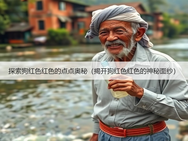 探索狗红色红色的点点奥秘（揭开狗红色红色的神秘面纱）