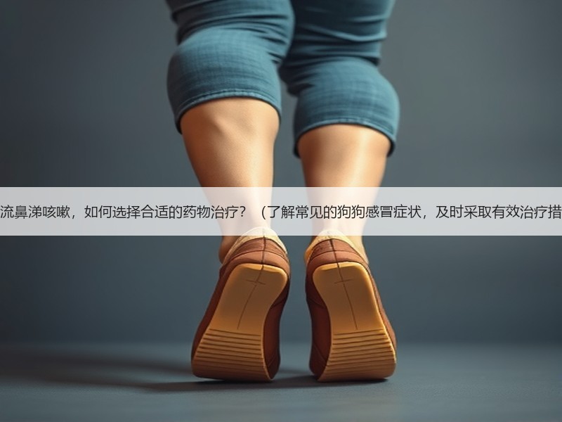 狗狗流鼻涕咳嗽，如何选择合适的药物治疗？（了解常见的狗狗感冒症状，及时采取有效治疗措施）
