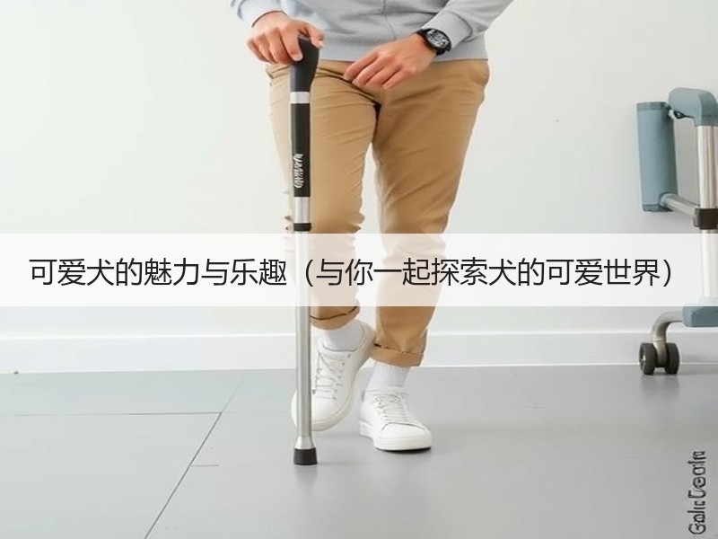 可爱犬的魅力与乐趣（与你一起探索犬的可爱世界）
