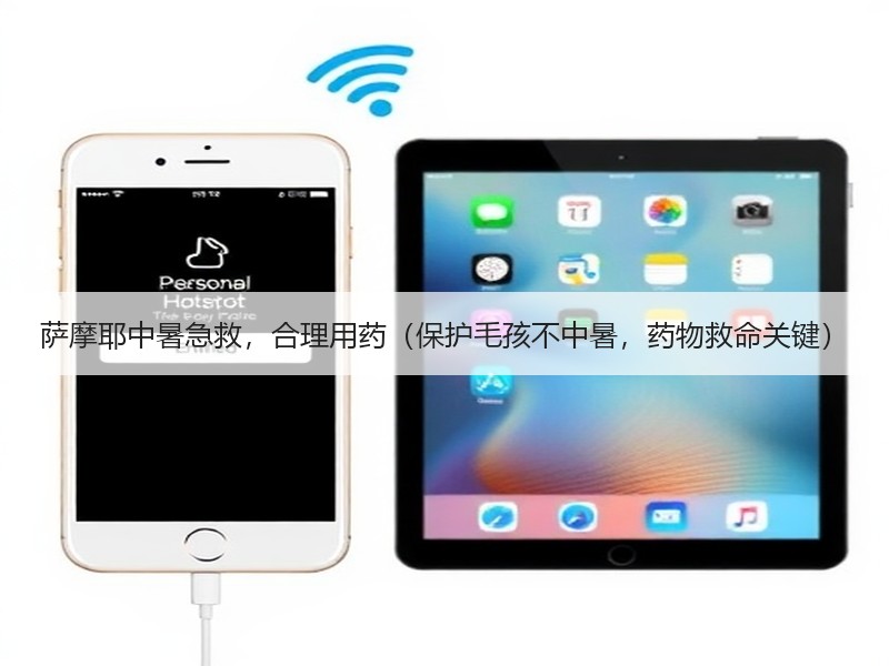 萨摩耶中暑急救，合理用药（保护毛孩不中暑，药物救命关键）