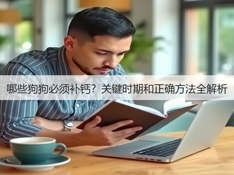 哪些狗狗必须补钙？关键时期和正确方法全解析