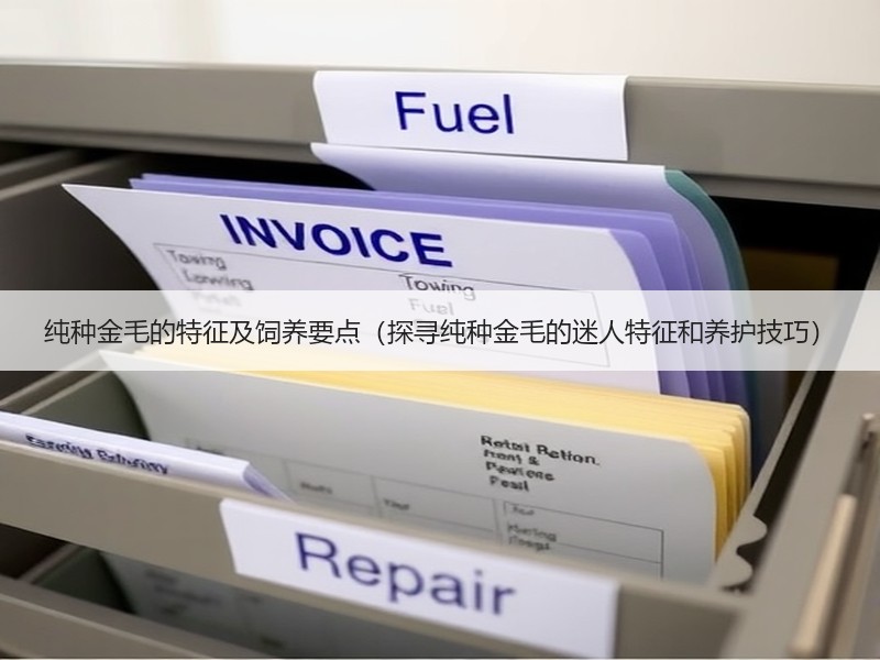 纯种金毛的特征及饲养要点（探寻纯种金毛的迷人特征和养护技巧）