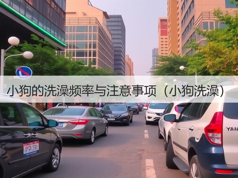 小狗的洗澡频率与注意事项（小狗洗澡）