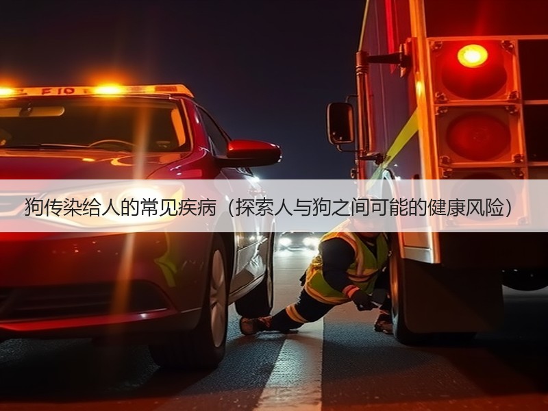 狗传染给人的常见疾病（探索人与狗之间可能的健康风险）