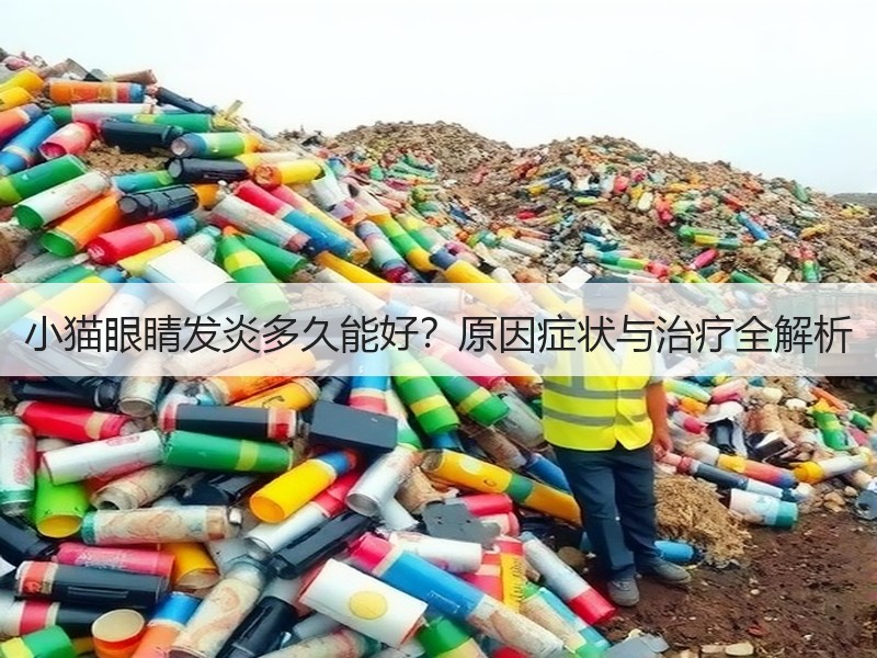 小猫眼睛发炎多久能好？原因症状与治疗全解析