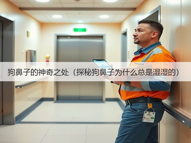 狗鼻子的神奇之处（探秘狗鼻子为什么总是湿湿的）