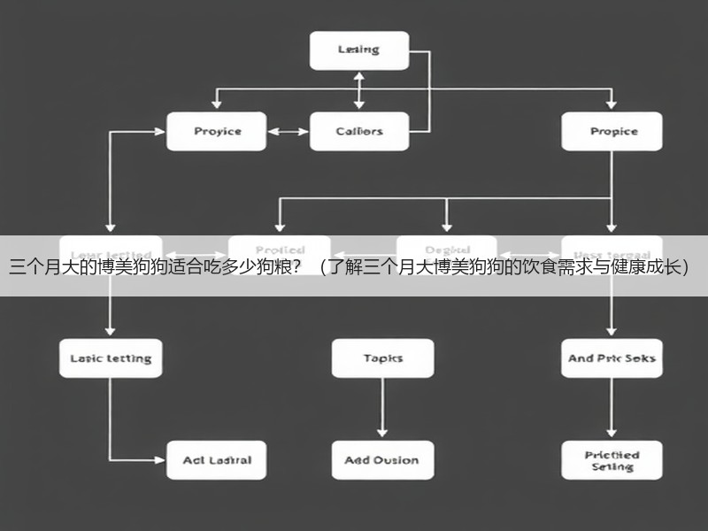 三个月大的博美狗狗适合吃多少狗粮？（了解三个月大博美狗狗的饮食需求与健康成长）