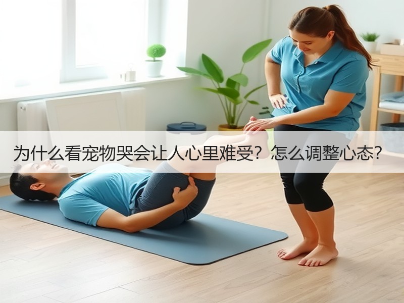 为什么看宠物哭会让人心里难受？怎么调整心态？